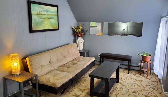 Cozy downtown upper level private apartment