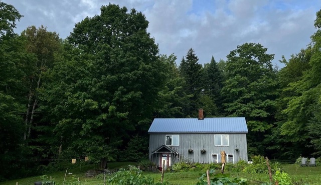Cozy East Burke Cottage near bike trails & skiing