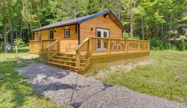 Cozy Ellicottville Cabin w/Water Views - Near Ski