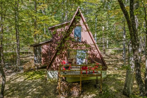 Cozy - Experience It All