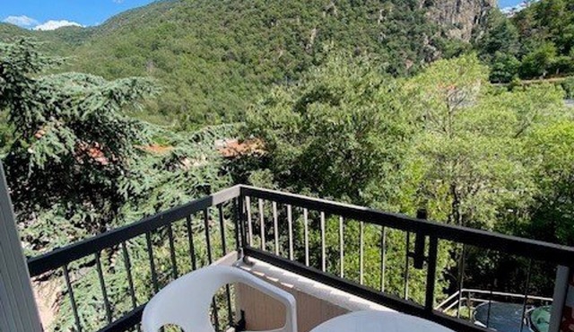 Cozy F2 Apartment with Parking, Balconies, and WIFI Near Thermal Baths