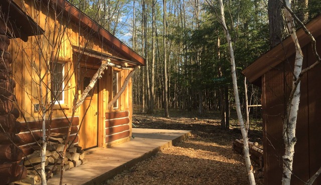 Cozy Family and Pet-Friendly Cabin Near Fife Lake, 5-minute drive. Camp fire