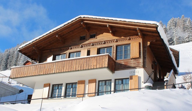 Cozy family apartment with stove, gallery and magnificent alpine view