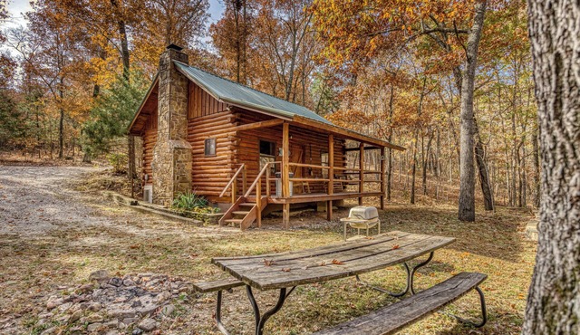 Cozy family cabin tucked away in the quiet town of ST. Joe