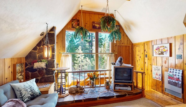 Cozy family & dog-friendly guest house with WiFi, kitchenette, & lake views