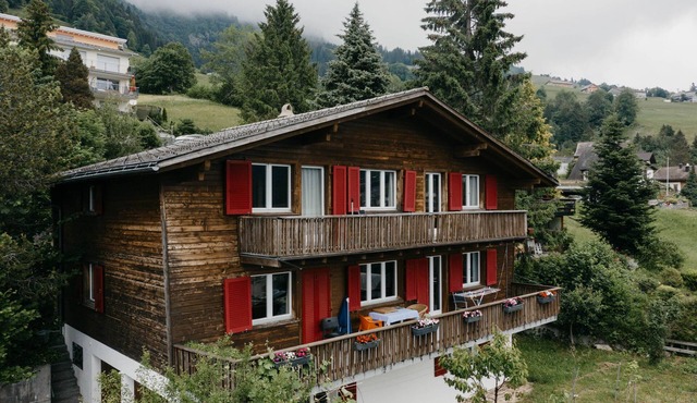 "Cozy Family Flat with Stunning Mountain Views in Amden, Switzerland!"