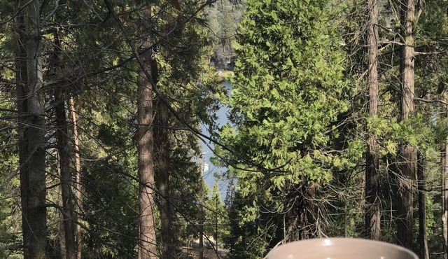 Cozy, family-friendly cabin in a gated lake resort near Yosemite!