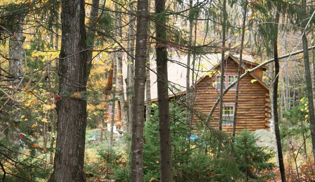 Cozy Family Log Cabin - 3/4 Mile to Mt Snow