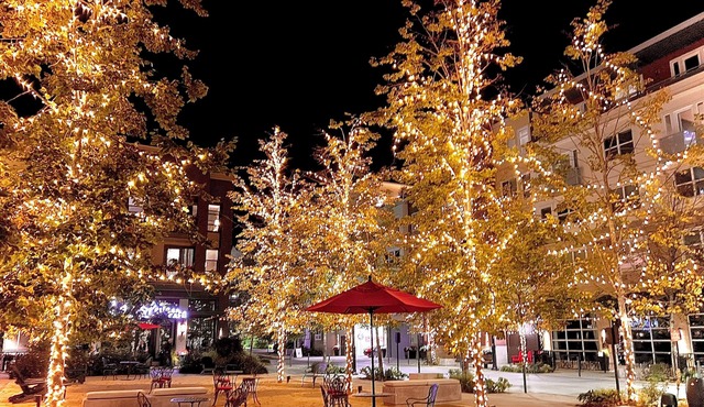 Cozy farmhouse nestled in huge private Park-like Lot-Minutes away from Wineries