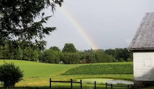 Cozy farmhouse with views and amenities! Pet-friendly, baby goats and chickens!