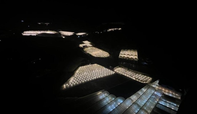 COZY FARMVIEW APARTMENT RETREAT