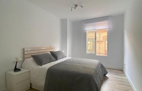 Cozy flat in La Petxina A