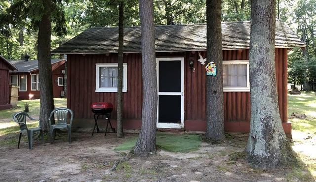 Cozy "Flip Flops" Cabin in the woods with Pentwater Lake frontage and access