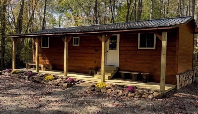 Cozy Forest Cabin Near Allegheny Reservoir; Fire Pit, Porch, Pet Friendly