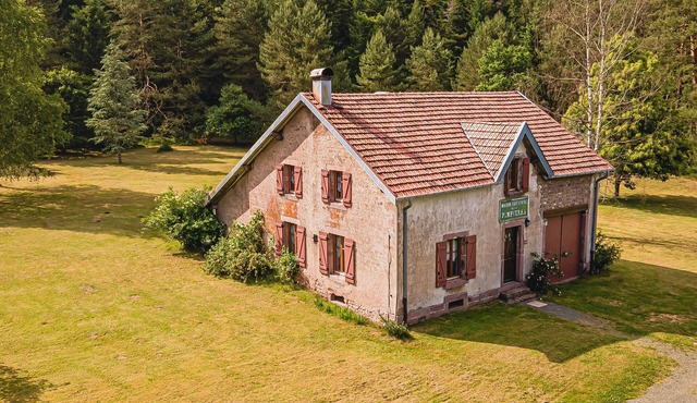 Cozy Forest House: Spacious Kitchen, Scenic Veranda, Near Lakes and Hiking Trails