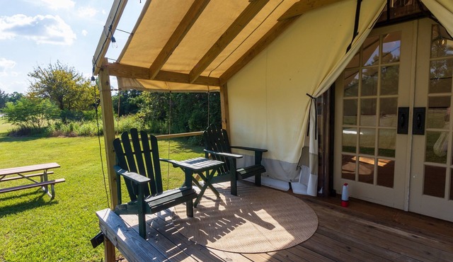 Cozy Forest Retreat near Sam Houston National Park