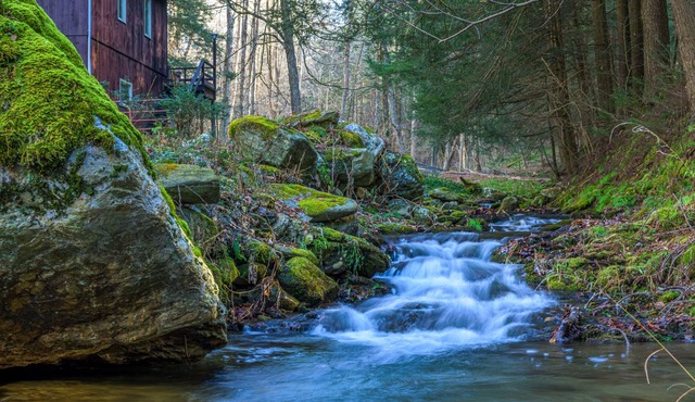 Cozy Four Season Lodge