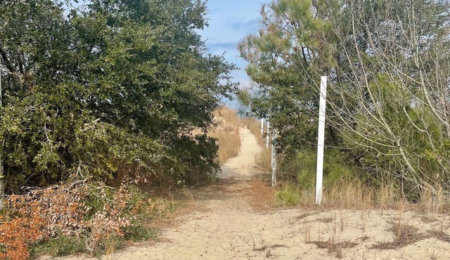 Cozy Frog on the Beach! 2-bedroom Efficiency w/Beach Access, WiFi, Smart TV