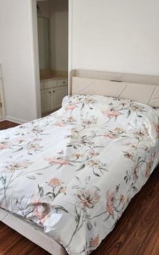 Cozy Full Bedroom in Grayson, Atlanta GA