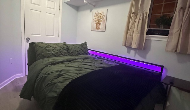 Cozy garden apartment in Baltimore