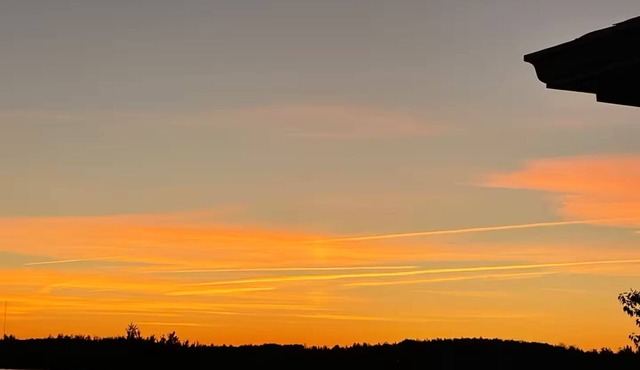 Cozy GEM-near Peterborough-Freshly decorated