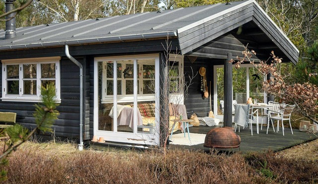 Cozy gem near Tversted Plantage