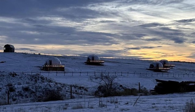 Cozy Geodesic Glamping Dome on a Canadian Ranch with Horses, Perfect for a Weekend of Wellness