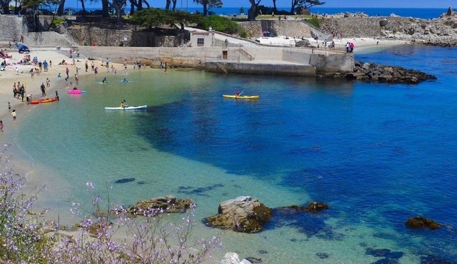 Cozy get-away in Pacific Grove (Pet Friendly!)