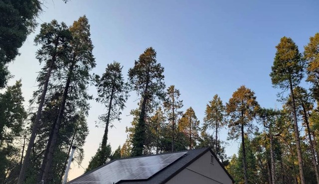 Cozy Getaway in the Woods (Dog-friendly!)