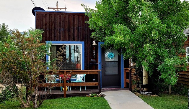 Cozy getaway in the "Moose Viewing Capital of Colorado"! Dogs welcome!