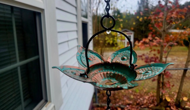 Cozy getaway near Calloway gardens/Ft Moore. Between Pine Mtn and Columbus GA.