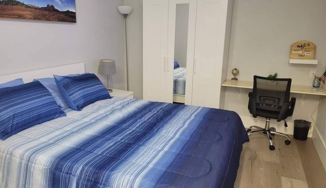 Cozy Getaway Studio Close to Airport and Beaches in Carrollwood Tampa