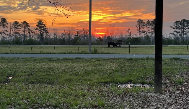 Cozy Grain Bin Room Retreat on a Working Mini Farm
