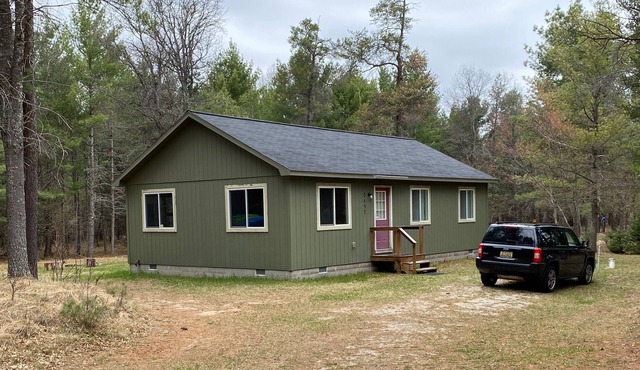Cozy Grayling/Lovell's Twp Cabin in the Woods