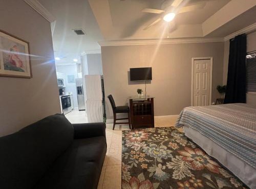 Cozy Green Apartment