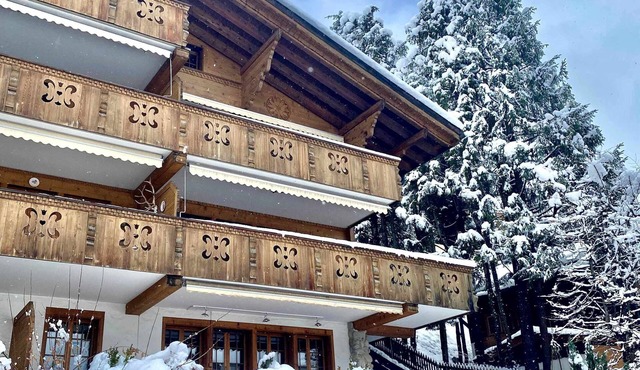 Cozy Gstaad Chalet With Modern Touch