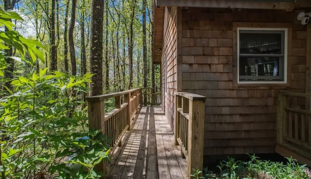 Cozy Guest Cabin Pet Friendly Secluded Peaceful