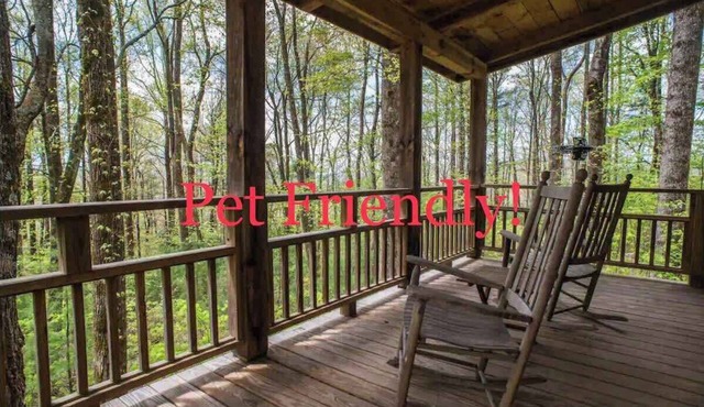 Cozy Guest Cabin Pet Friendly Secluded Peaceful