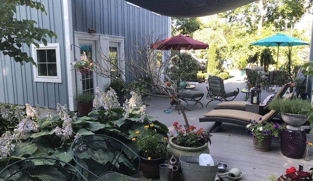 Cozy guest cottage located off historic Bellevue Ave walking distance everywhere