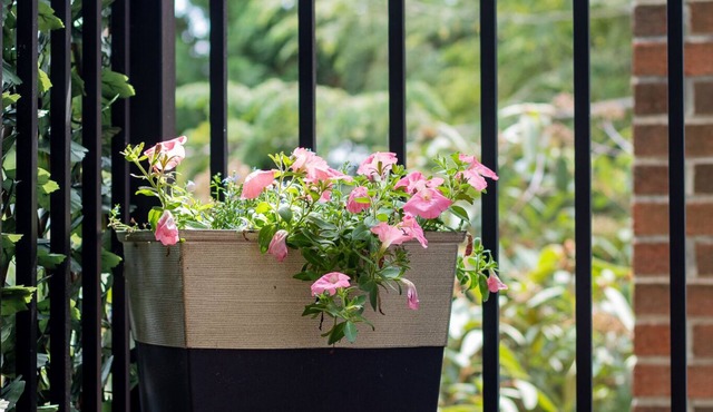 Cozy Guest Suite with Private Entrance