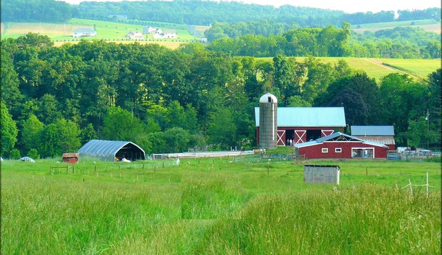 Cozy Guesthouse on Big Sheep Farm