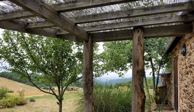 Cozy hideaway for honeymooners or those who want timeout in a natural setting