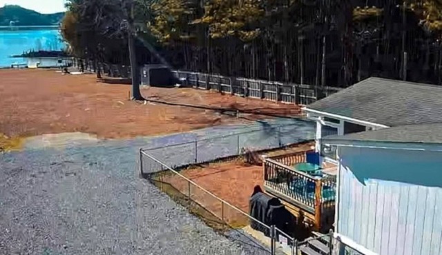 Cozy hideaway on Weiss Laken with private dock and kayaks!