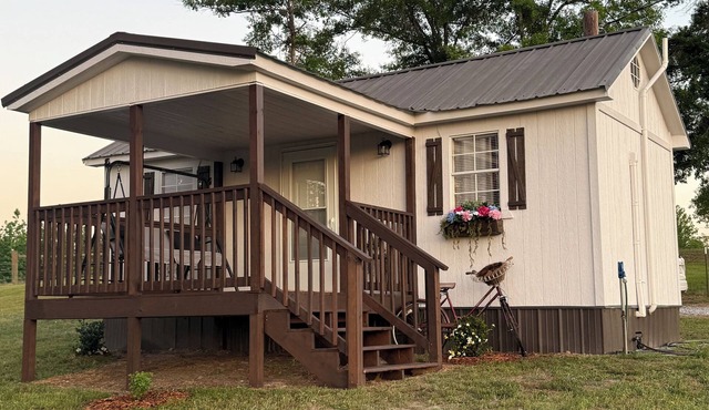 Cozy Hillside Cabin - Charming 1-bedroom tiny house cabin on a peaceful hill.