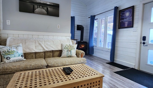 Cozy Hilltop Cabin - 10 minutes to Bancroft