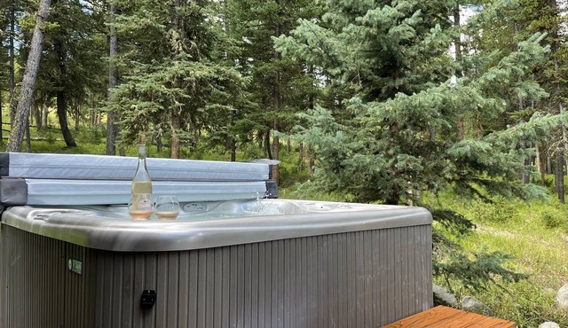 Cozy, historic cabin in the woods, X-ski in/out, minutes to shops & restaurants