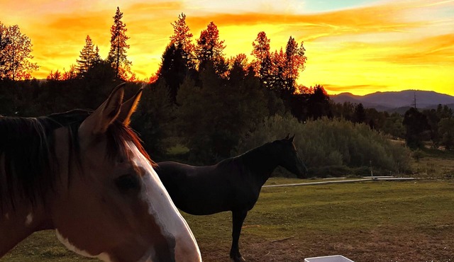 Cozy & Historic, Pet Friendly Farm Stay