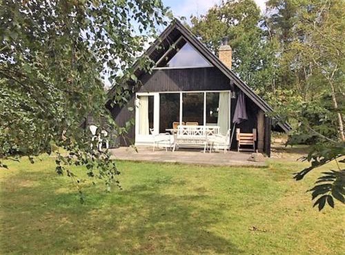 Cozy Holiday cottage at Ringkøbing Fjord