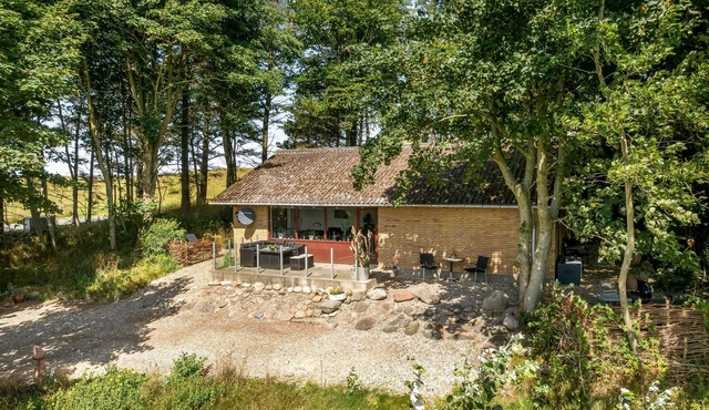 Cozy holiday home near Lild Strand.