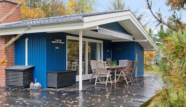 Cozy holiday home near the Gudenå